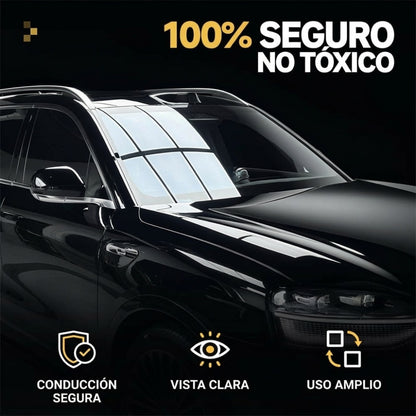 Cepillo Profesional para Eliminar Película de Aceite de Parabrisas